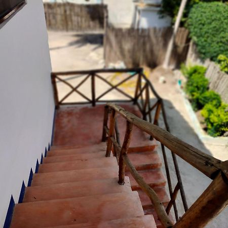 Emerald Dreams Boutique Hotel Michamvi エクステリア 写真