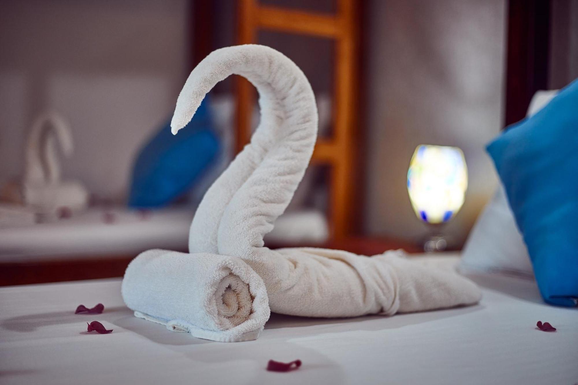 Emerald Dreams Boutique Hotel Michamvi エクステリア 写真